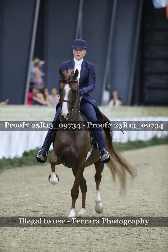 Proof 25R13_09734