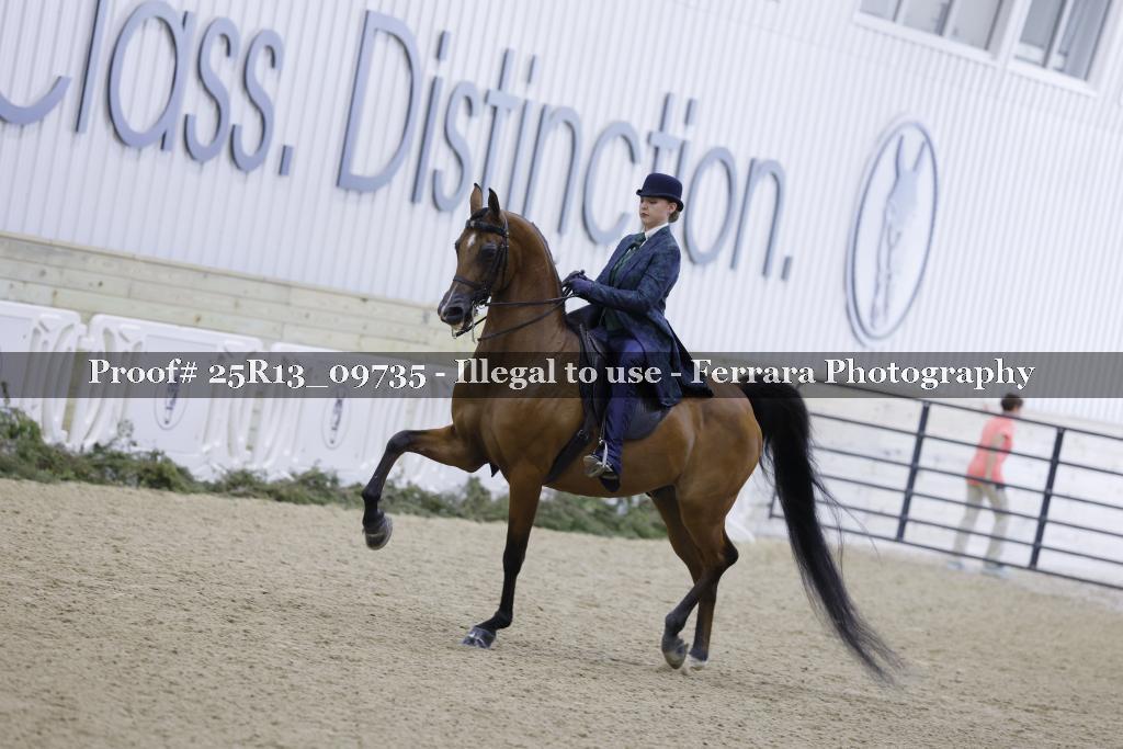 Proof 25R13_09735