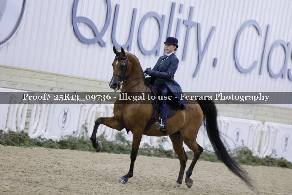 Proof 25R13_09736