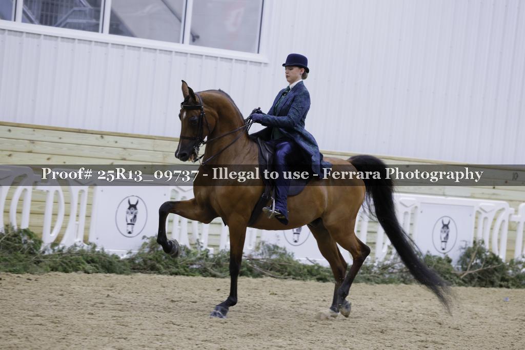 Proof 25R13_09737