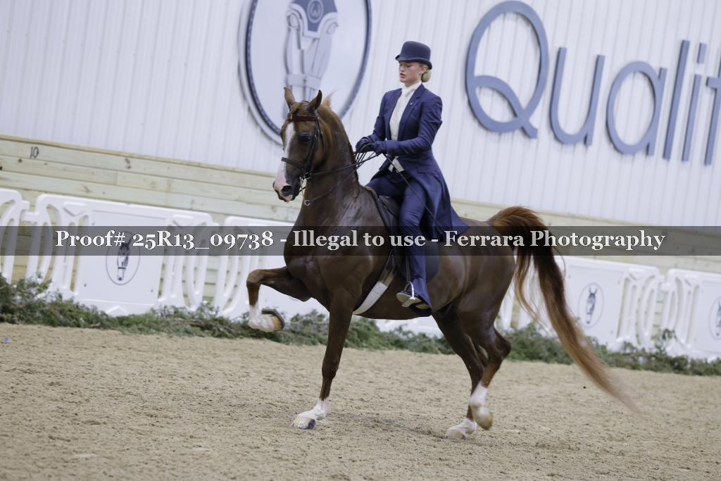Proof 25R13_09738