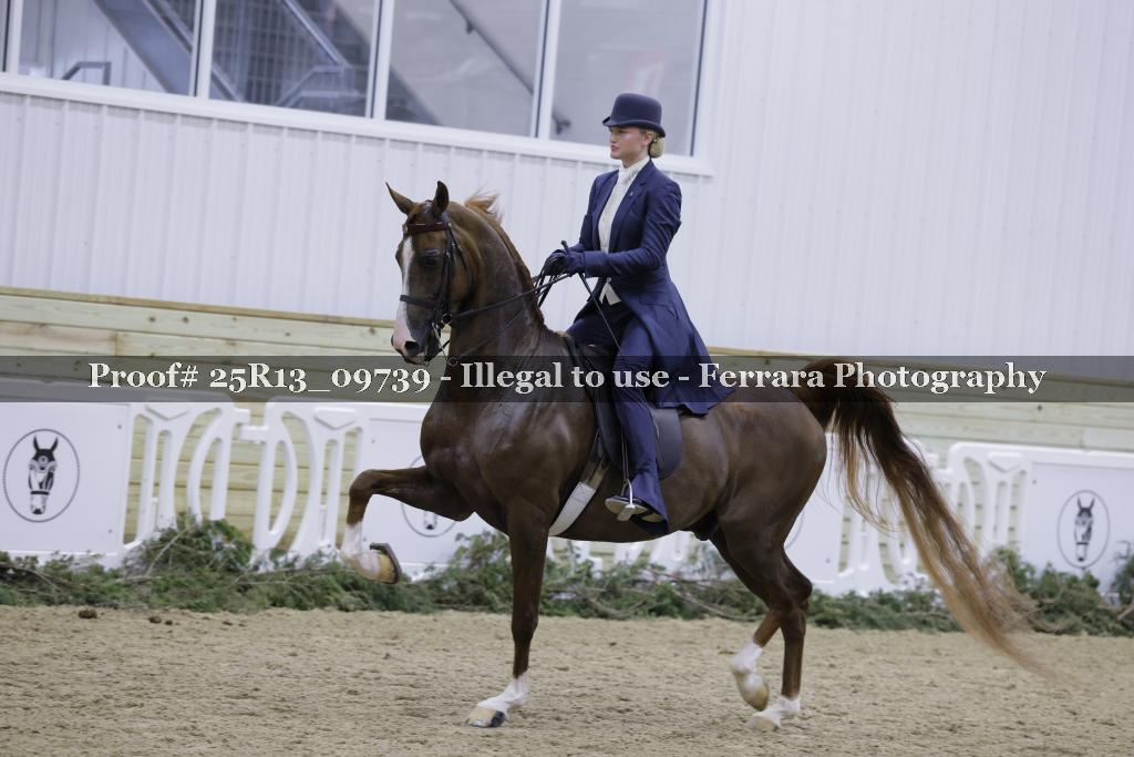 Proof 25R13_09739