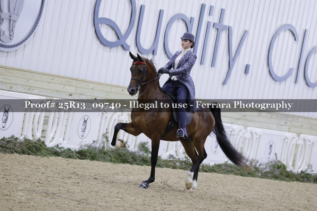 Proof 25R13_09740