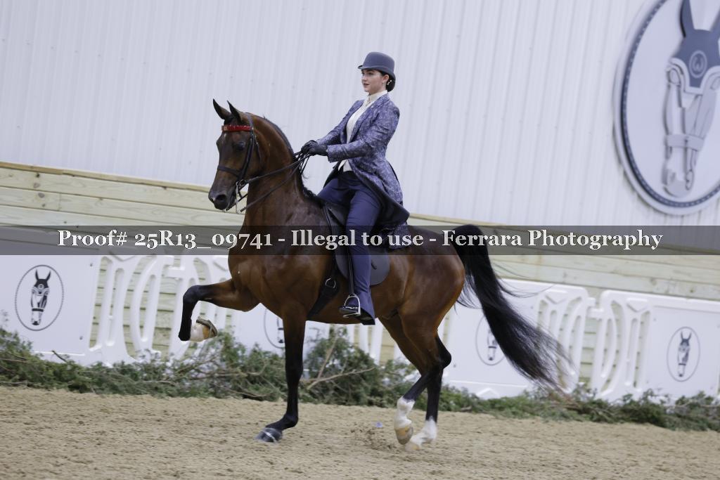 Proof 25R13_09741