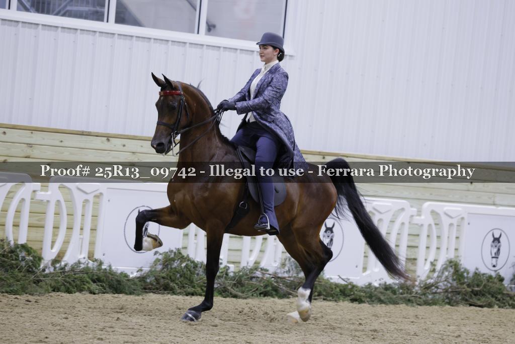 Proof 25R13_09742