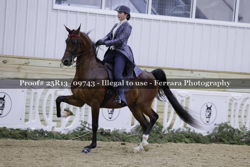 Proof 25R13_09743