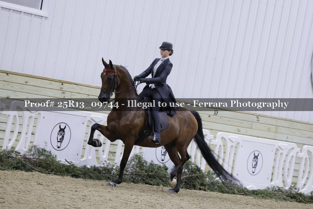 Proof 25R13_09744
