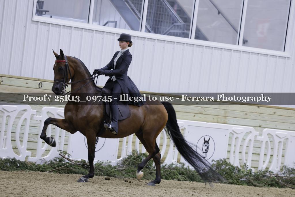 Proof 25R13_09745