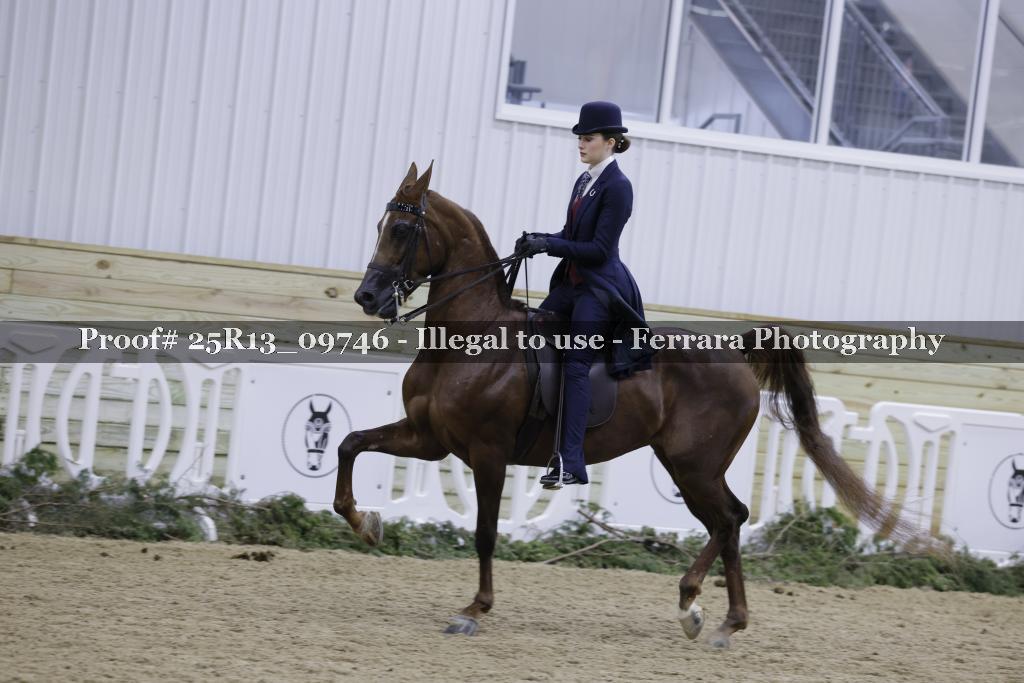 Proof 25R13_09746