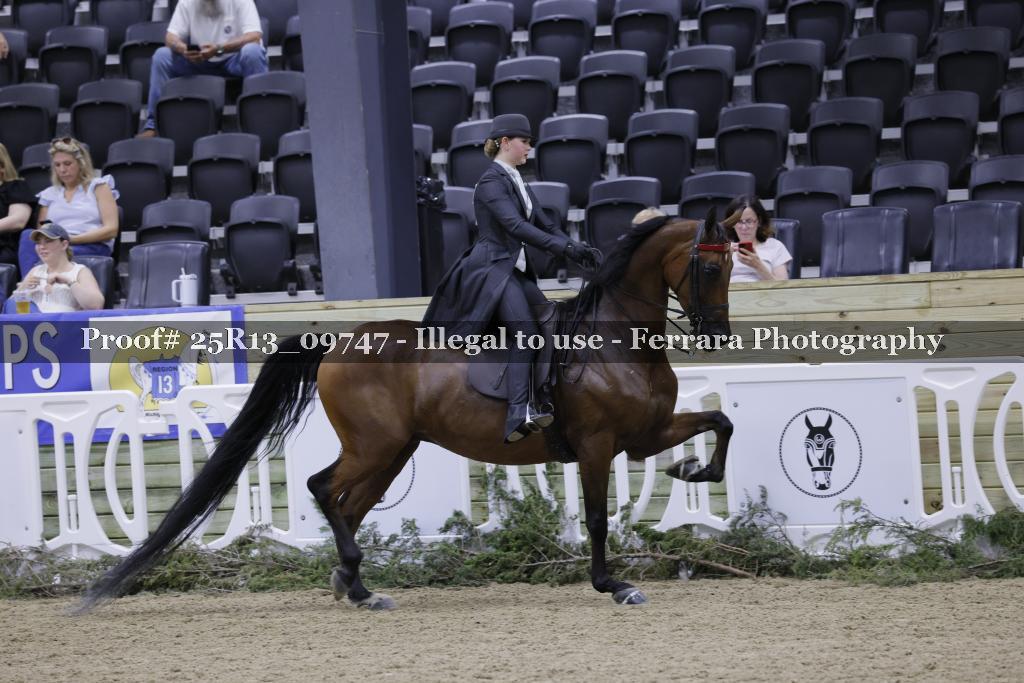 Proof 25R13_09747