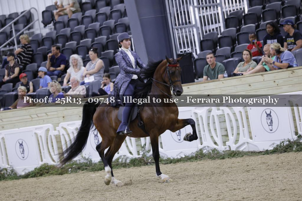 Proof 25R13_09748