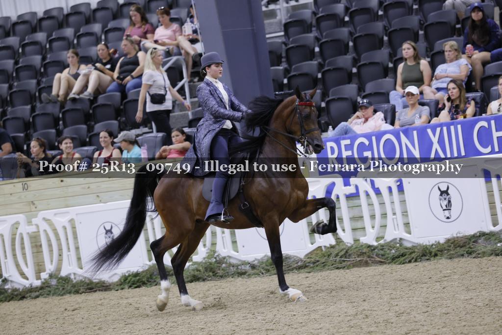 Proof 25R13_09749