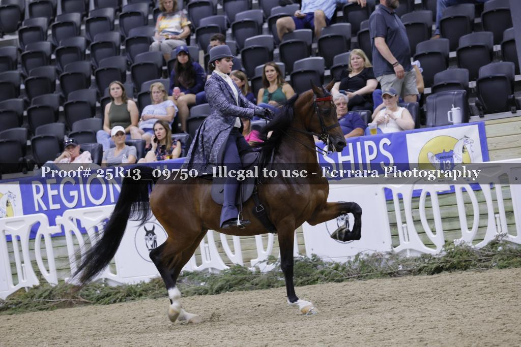 Proof 25R13_09750