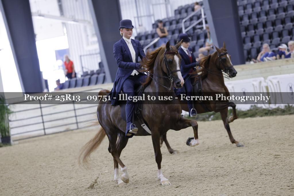 Proof 25R13_09751