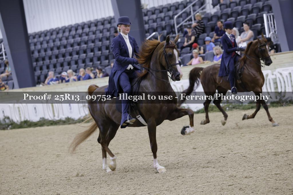 Proof 25R13_09752