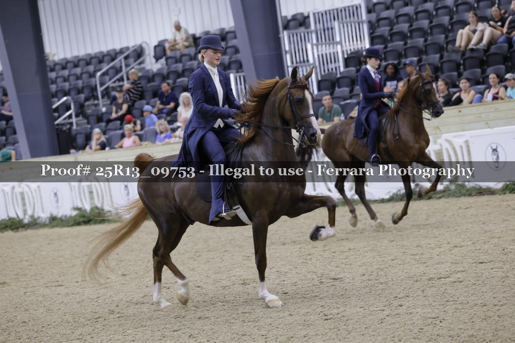 Proof 25R13_09753