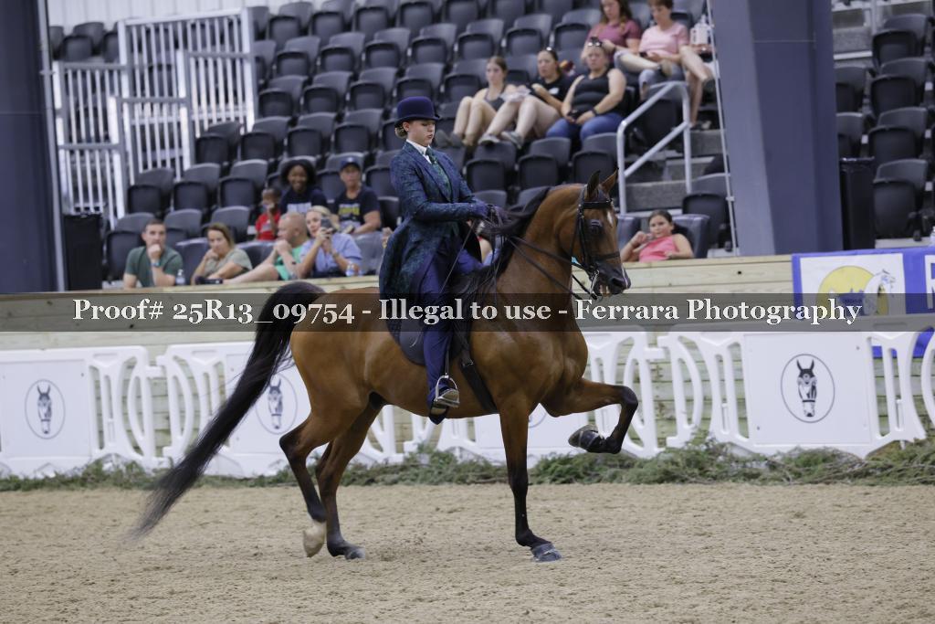 Proof 25R13_09754