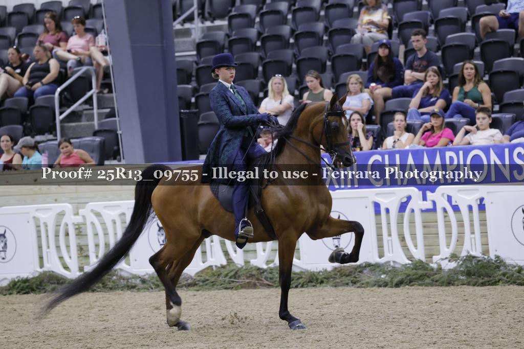 Proof 25R13_09755