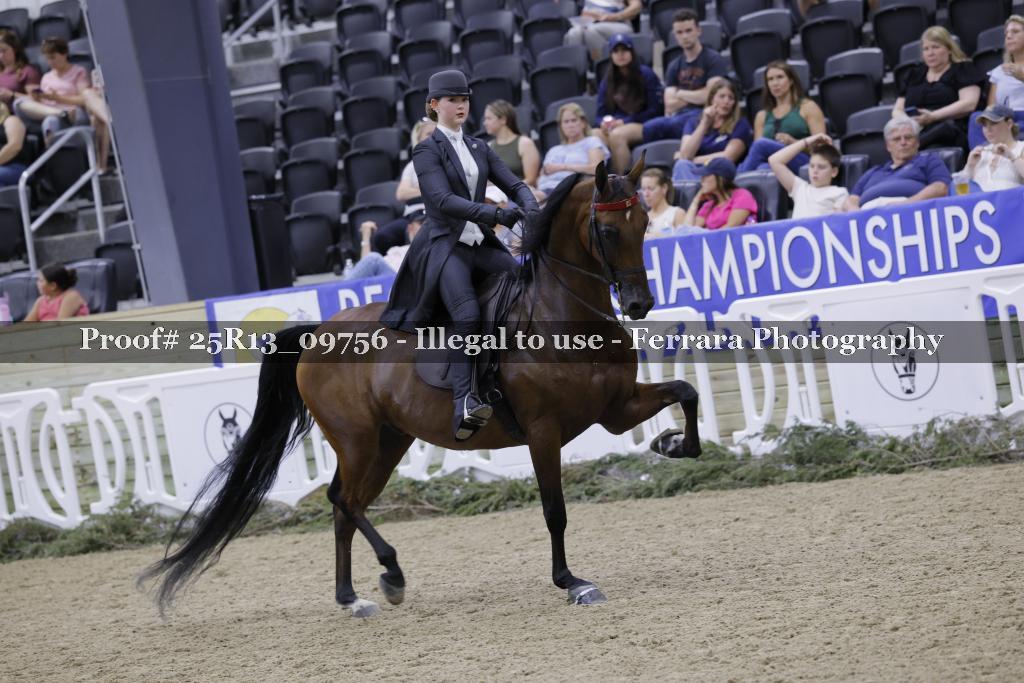 Proof 25R13_09756