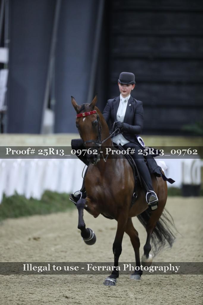 Proof 25R13_09762