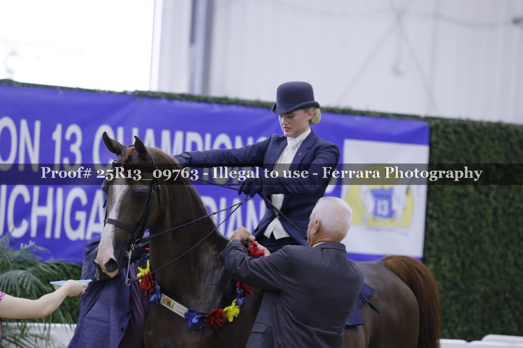 Proof 25R13_09763