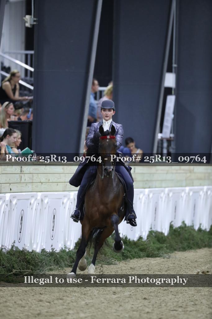Proof 25R13_09764