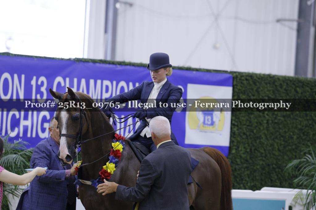 Proof 25R13_09765
