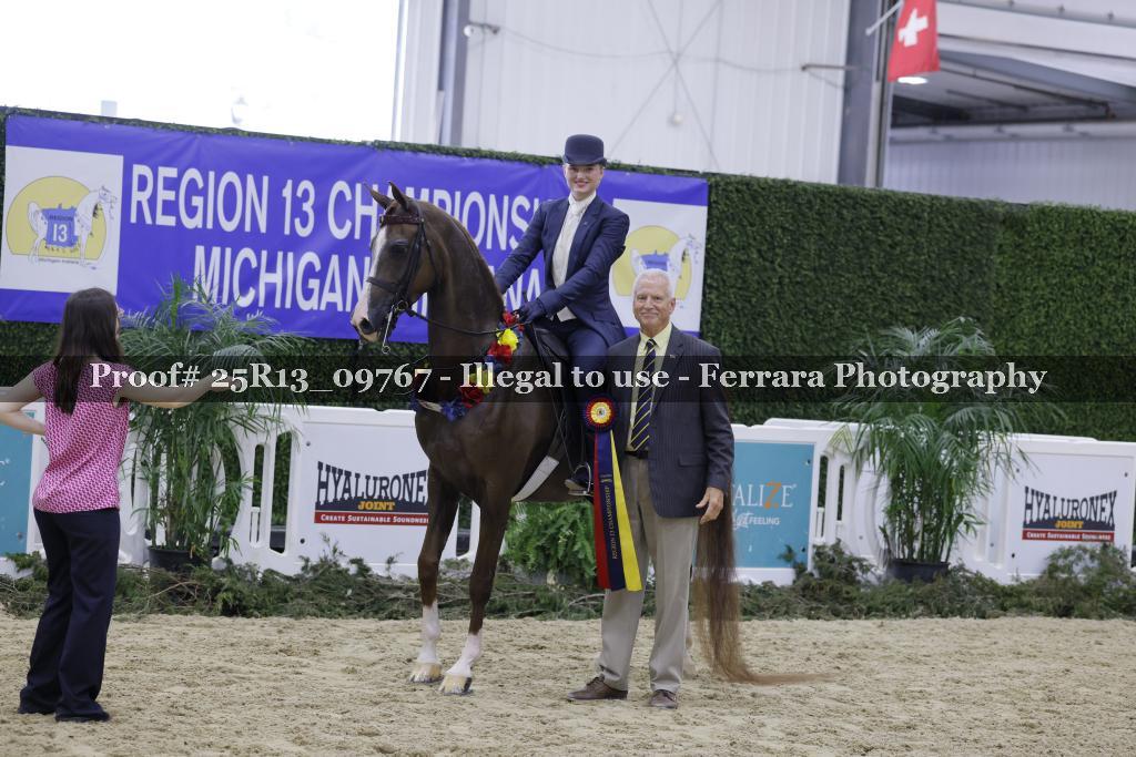 Proof 25R13_09767