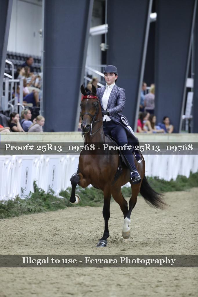 Proof 25R13_09768