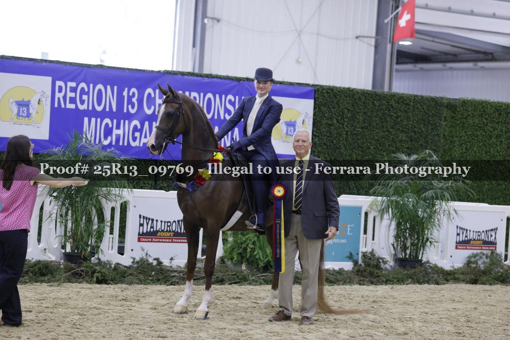 Proof 25R13_09769