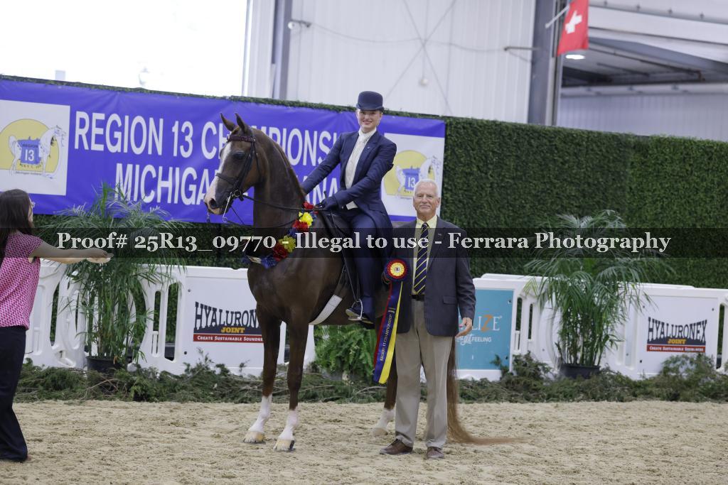 Proof 25R13_09770