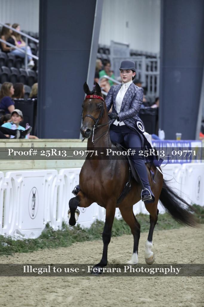 Proof 25R13_09771