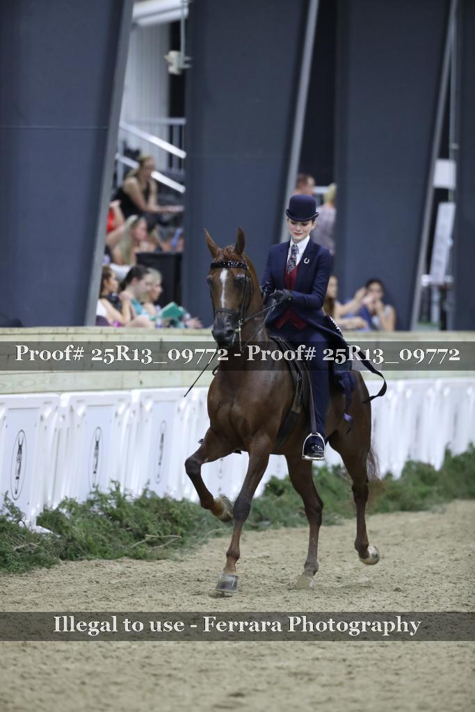 Proof 25R13_09772