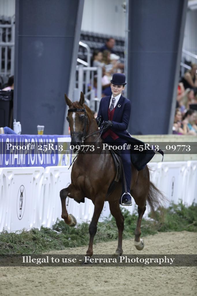 Proof 25R13_09773