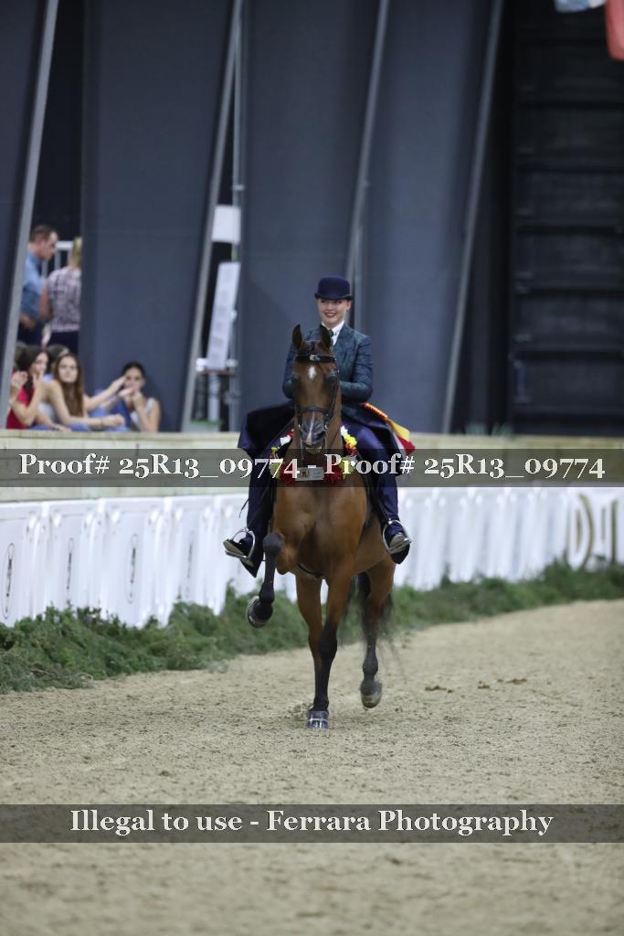 Proof 25R13_09774