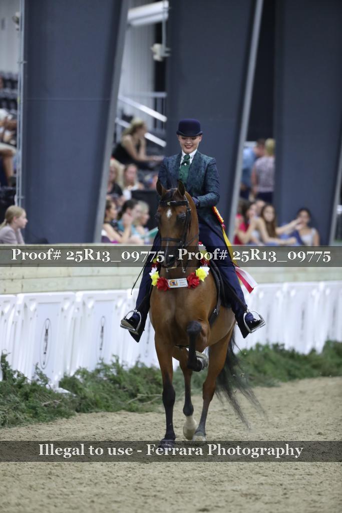 Proof 25R13_09775