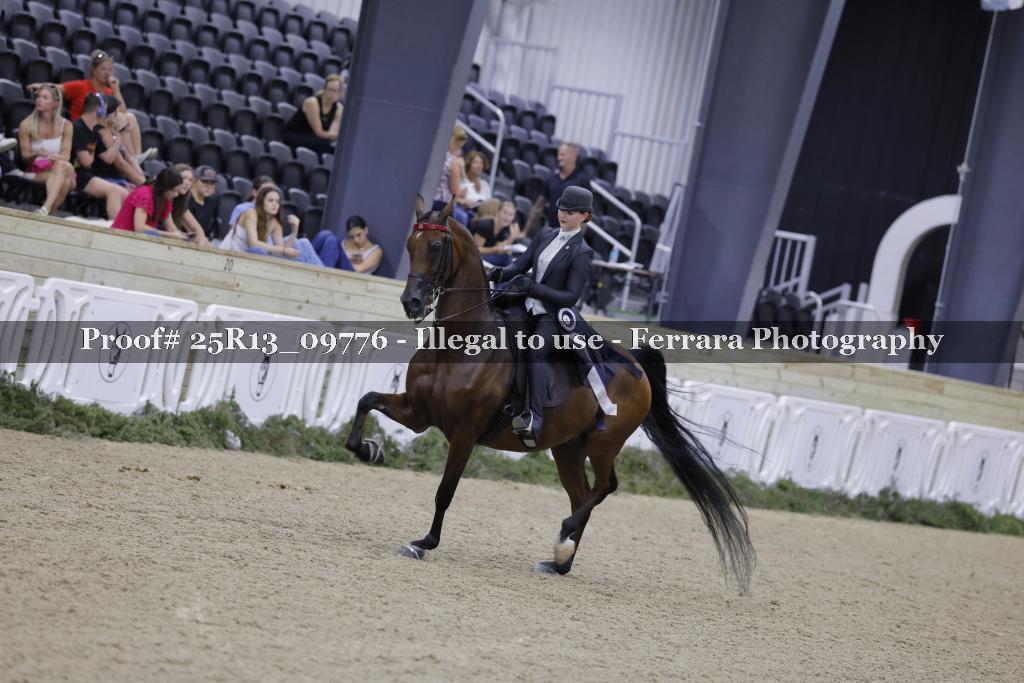 Proof 25R13_09776