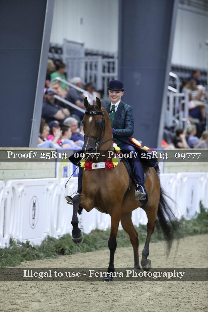 Proof 25R13_09777