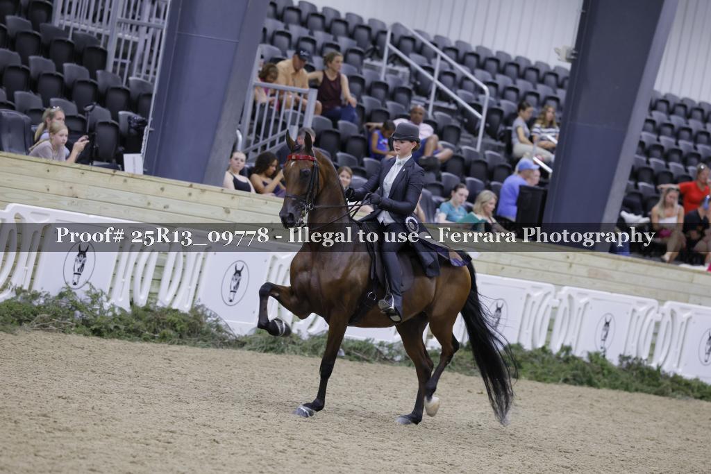 Proof 25R13_09778