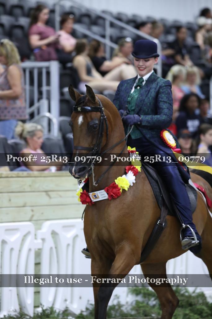 Proof 25R13_09779