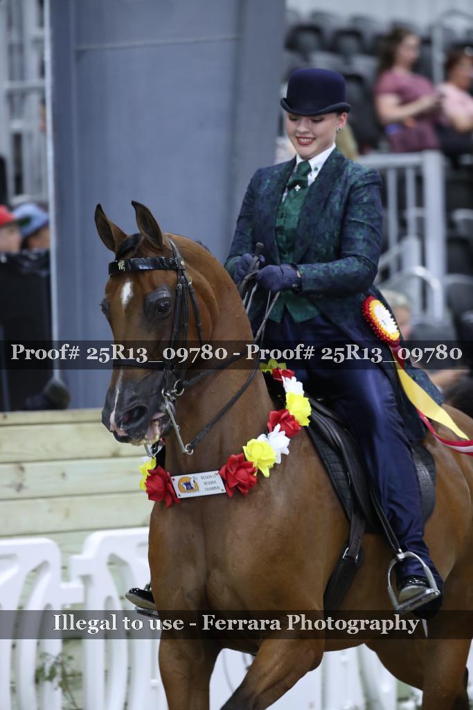 Proof 25R13_09780