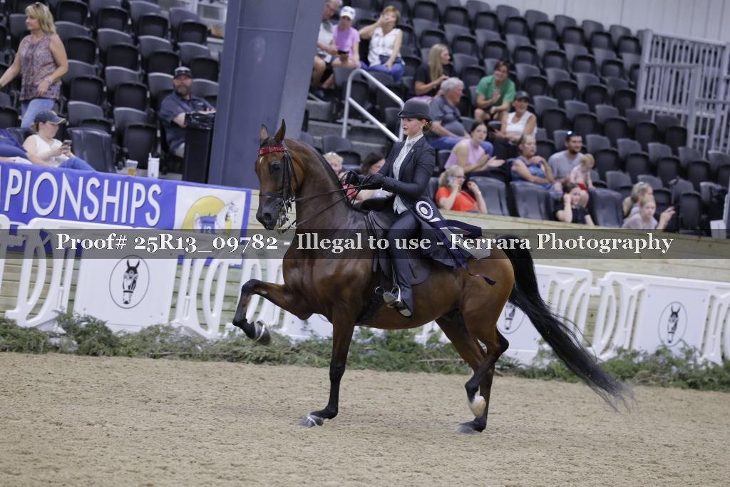 Proof 25R13_09782