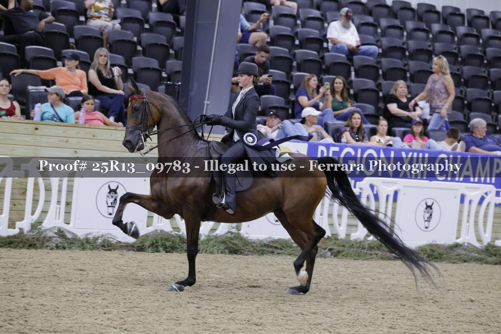 Proof 25R13_09783