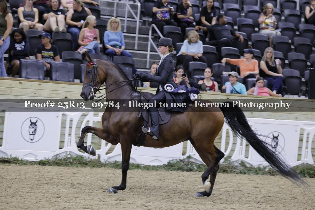 Proof 25R13_09784