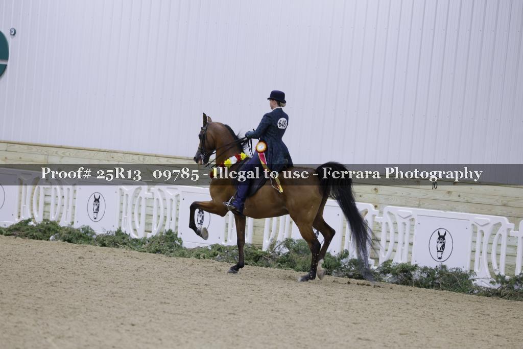 Proof 25R13_09785