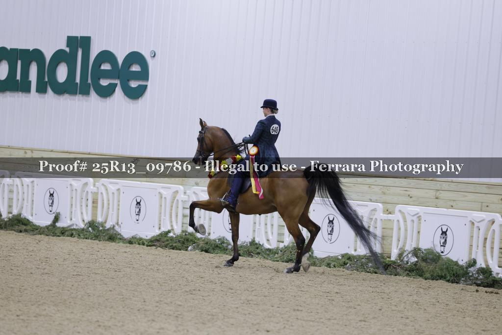 Proof 25R13_09786