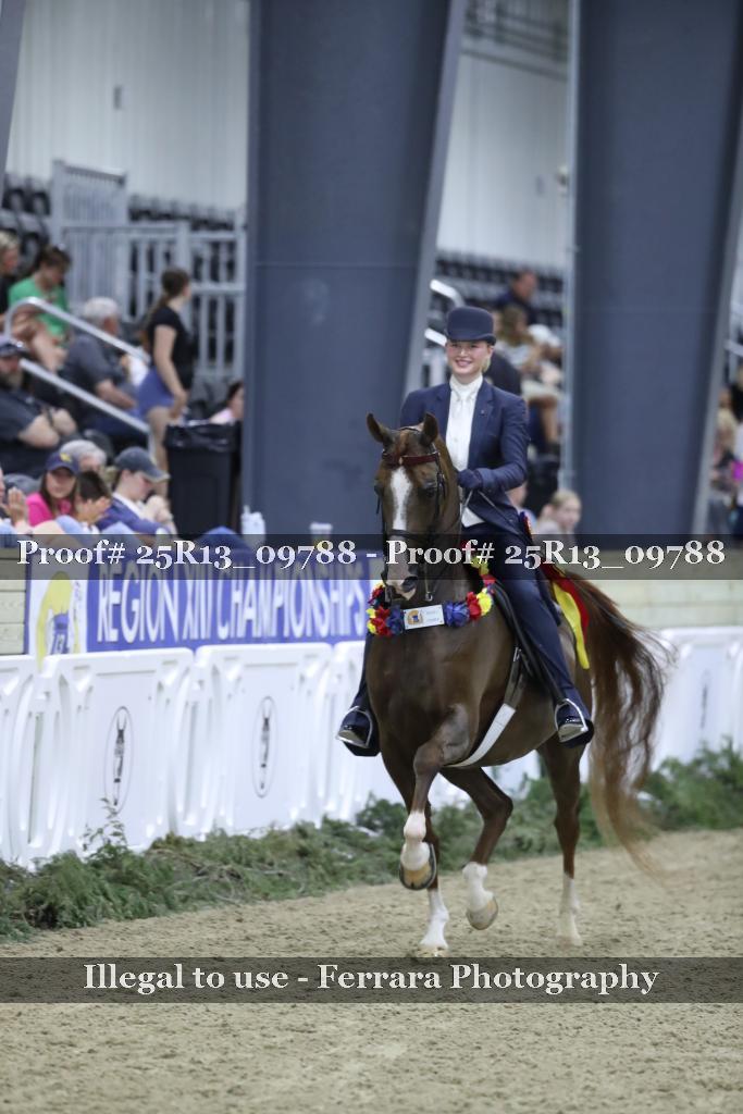 Proof 25R13_09788
