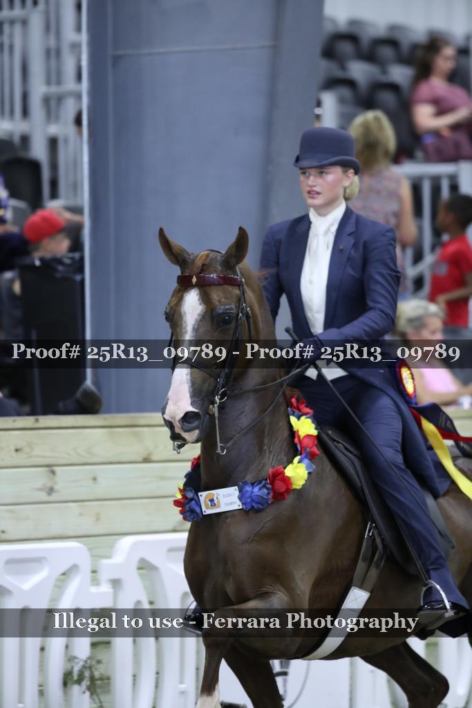 Proof 25R13_09789