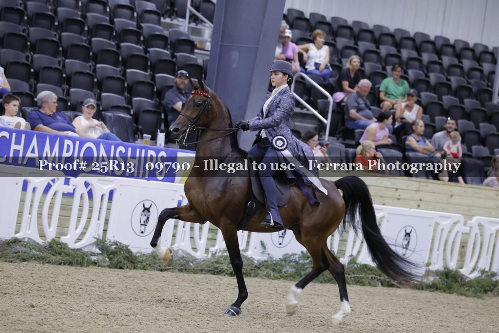 Proof 25R13_09790