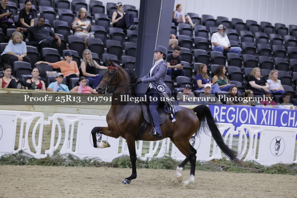 Proof 25R13_09791